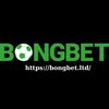 Avatar of bongbetltd