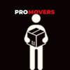 Avatar of PRO Movers