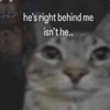 Avatar of funtimefonky_