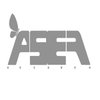Avatar of asef resaneh