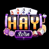 Avatar of 1haywincom