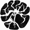 Avatar of skunkworks4u