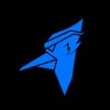Avatar of TheFenix