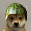 Avatar of vrtruffles