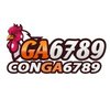 Avatar of conga6789chat