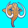 Avatar of Nicholas Dodge animation