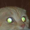 Avatar of wdetective