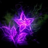 Avatar of AdryBC