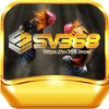 Avatar of SV368