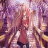Avatar of drky1124