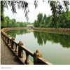 Avatar of Chengmengchen