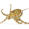 Avatar of OCTOPUS