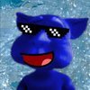 Avatar of cool cat