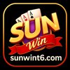 Avatar of sunwint6com
