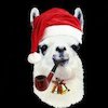 Avatar of IcierNewf