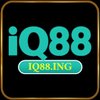 Avatar of Iq88