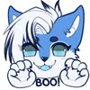 Avatar of JadieHusky