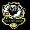 Avatar of Imad.Pro.Gemer
