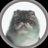 Avatar of chopcash