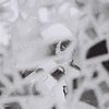 Avatar of StabbedSeveralTimes