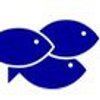 Avatar of memfish88