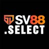 Avatar of sv88select