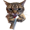 Avatar of Belldofers