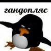 Avatar of pppden508