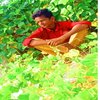 Avatar of Naveen.Vemula
