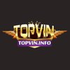 Avatar of TopVin