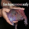 Avatar of kystistii