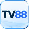 Avatar of Apptv88com