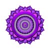 Avatar of Yoga Nisarga