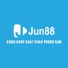 Avatar of jun88now1