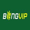 Avatar of Nhà cái BongVip