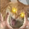 Avatar of 20071021