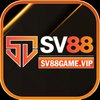 Avatar of SV88