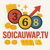 Avatar of Soi Cầu WAP