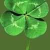 Avatar of 4leaf
