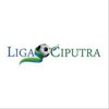 Avatar of ligaciputracx