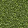Avatar of Grass