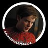 Avatar of raimispiderman.gr
