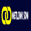 Avatar of Netlink SDN