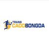 Avatar of Trang Cá Độ Bóng Đá