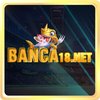 Avatar of banca18net