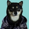 Avatar of akila23.tw
