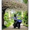 Avatar of TMIRTX