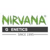 Avatar of Nirvana Shop