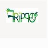 Avatar of Frippo