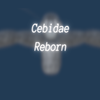 Avatar of CebidaeRebornOwner
